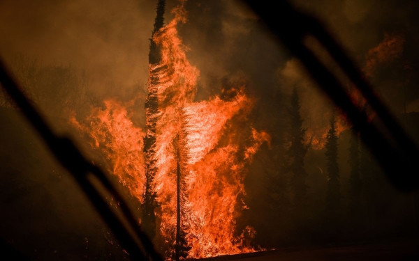 Προφυλακίστηκε ο εμπρηστής που έβαλε τις φωτιές στο Πετρωτό του Δομοκού