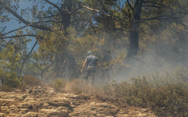 Φρικτή η εικόνα με τα καμμένα στη Ρόδο - Στάχτη μεγάλο κομμάτι της έκτασης Natura (βίντεο)