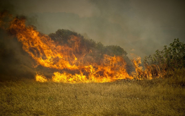 Ρόδος: Πριν καν σβήσουν οι φωτιές, ορισμένοι ξενοδόχοι θέλουν «κανονικότητα» και «θετική εικόνα»