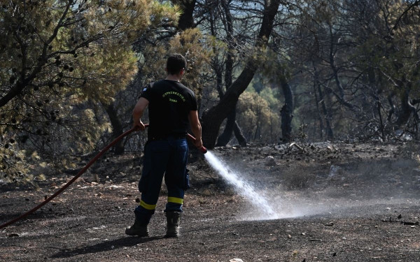 Ύπο έλεγχο η φωτιά στην Πρέβεζα