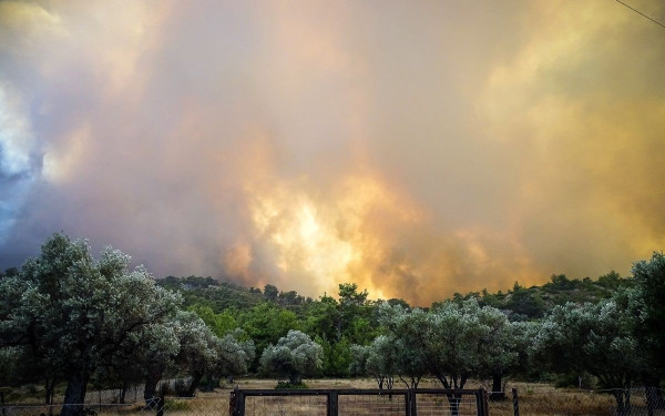 Μάχη με τις αναζωπυρώσεις δίνουν οι πυροσβέστες στη Ρόδο - Δύσκολη η κατάσταση σε Κάρυστο και Κέρκυρα