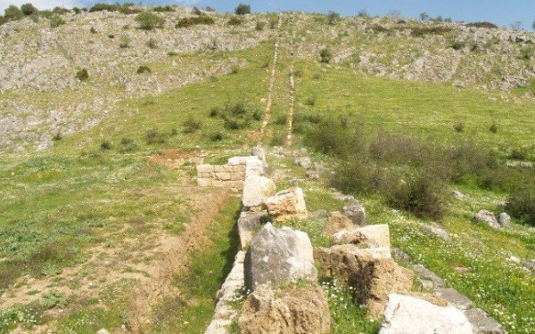 Δημητριακά, όσπρια, φρούτα, περιελάμβανε το νεολιθικό διαιτολόγιο στην περιοχή των Τρικάλων