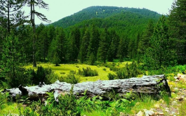 Βελτιώνεται η προσβασιμότητα στην Βάλια Κάλντα