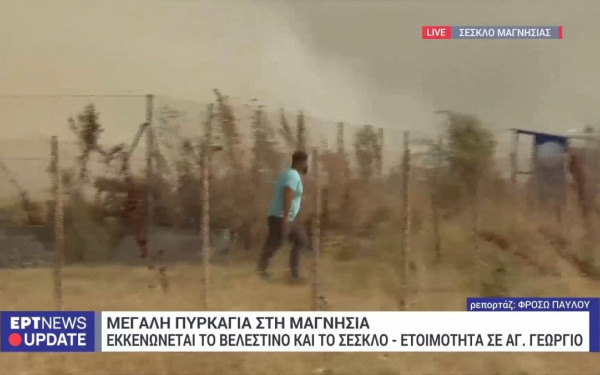 Μαγνησία: Ο βοσκός ζητούσε βοήθεια από την πυροσβεστική να σωθούν τα πρόβατά του λίγο πριν πεθάνει - Δείτε βίντεο