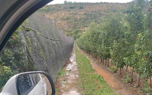 Πτολεμαΐδα: Ζημιές στις καλλιέργειες από το χαλάζι στο Μεσόβουνο