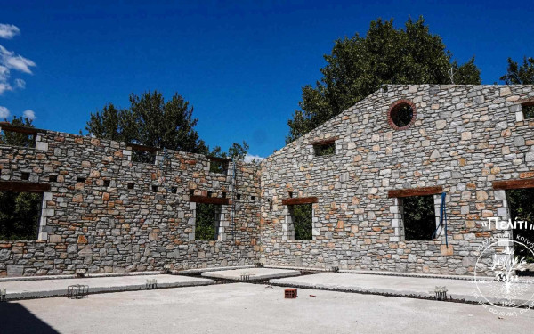 Δράμα: Ο πόλεμος στην Ουκρανία αύξησε τη ζήτηση για σπόρους