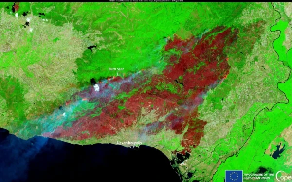 Copernicus: «Στην Αλεξανδρούπολη η μεγαλύτερη καμένη έκταση σε ευρωπαϊκό έδαφος εδώ και χρόνια» - Δείτε εικόνες