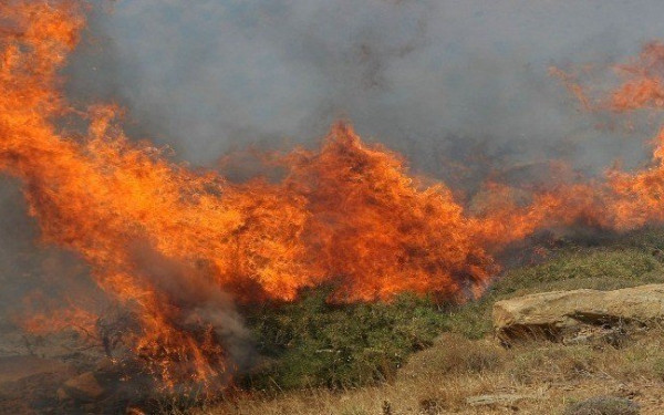 Αρτοποιός: «Από τον Μάιο 472 φωτιές μόνο στον Ασπρόπυργο»