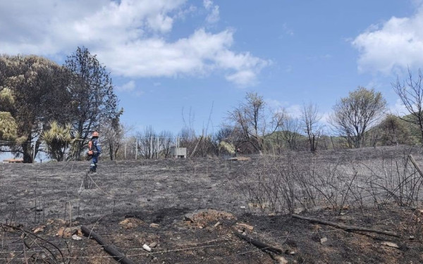 Χαλκιδική: Υπό μερικό έλεγχο πυρκαγιά στο Δεβελίκι Ιερισσού - Δεν απειλήθηκαν κατοικημένες περιοχές (φωτ.)