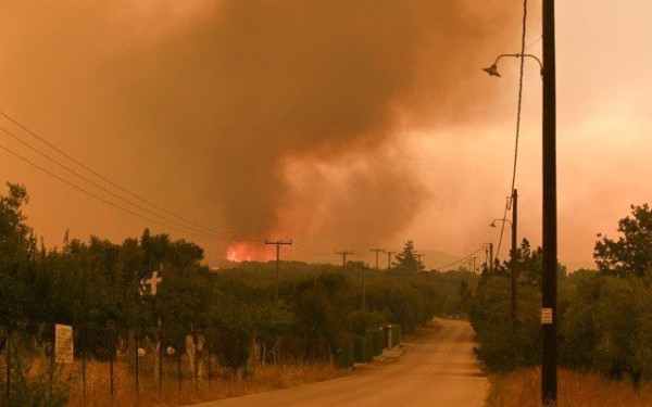 Χωρίς τέλος ο εφιάλτης στον Έβρο: Μάχη με τις αναζωπυρώσεις - Εκκενώσεις οικισμών (βίντεο)