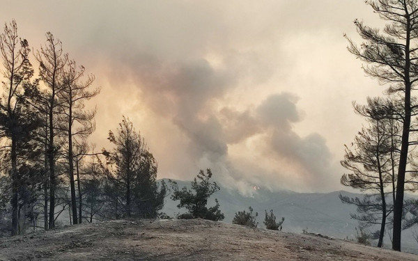 Για ενδέκατη ημέρα καίει το πύρινο μέτωπο στον Έβρο - Aναζωπυρώσεις στη Ροδόπη