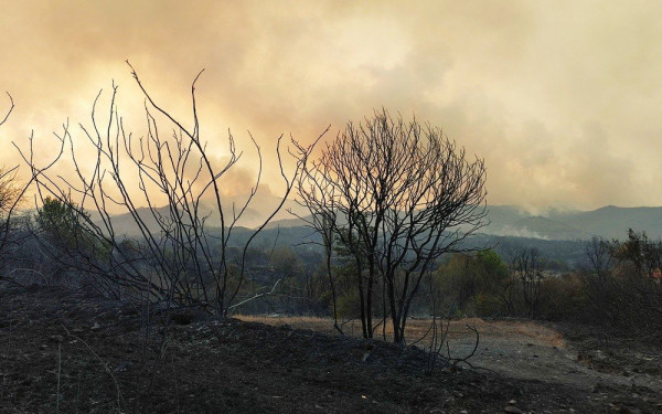 Κυβερνητικό κλιμάκιο θα επισκεφθεί τις καμένες περιοχές του Έβρου