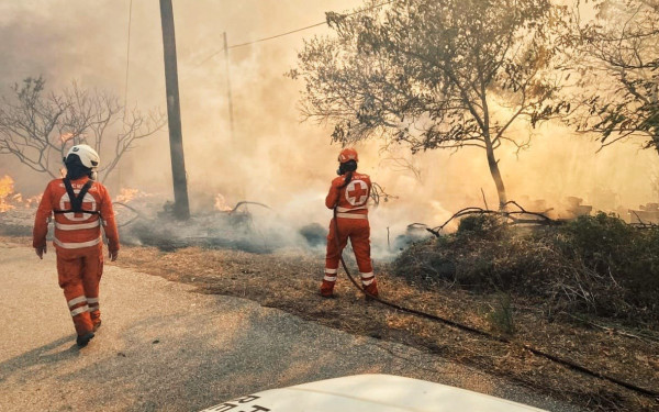 Έβρος: Κρίσιμο 48ωρο για τη Δαδιά