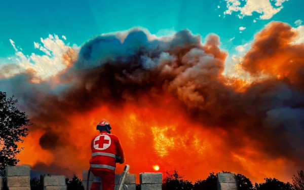 Πολύ δύσκολη η κατάσταση στην Αλεξανδρούπολη - Μαίνονται ανεξέλεγκτα τα πύρινα μέτωπα (βίντεο, φωτ.)