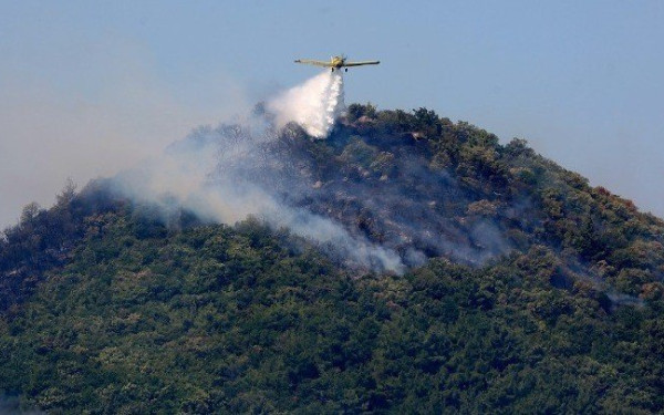 Έβρος: Μείωση της έντασης του μετώπου της πυρκαγιάς στη Λευκίμμη Σουφλίου