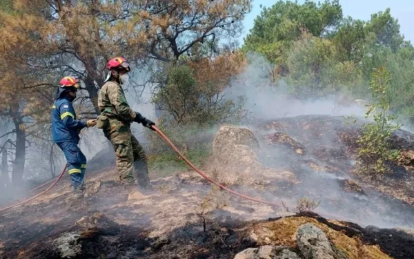 Έβρος: Δύο τα εναπομείναντα μέτωπα της πυρκαγιάς - Αυξημένες οι πυροσβεστικές δυνάμεις