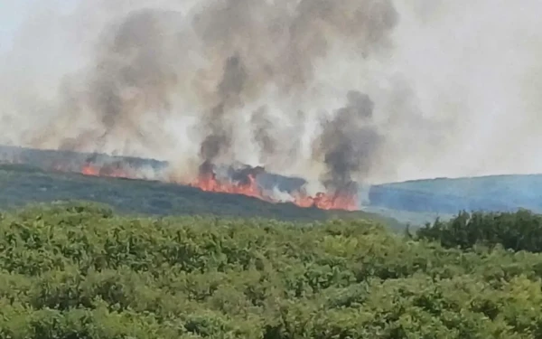Βελτιωμένη η εικόνα της πυρκαγιάς στη Σταμάτα - Προσαγωγή ενός ύποπτου για εμπρησμό