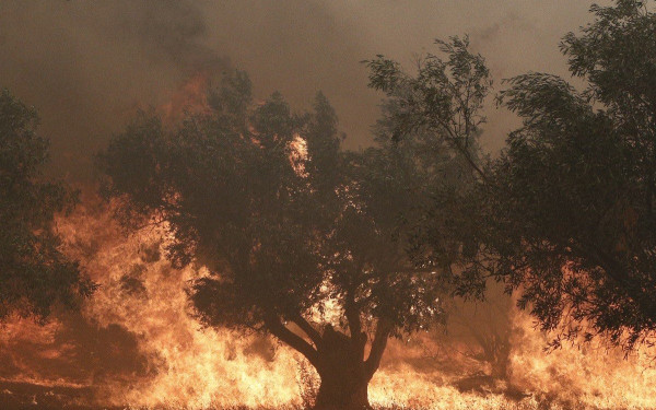 Δύσκολη η κατάσταση στη Φυλή - Νέες εκκενώσεις - Σε εξέλιξη η πυρκαγιά στον Ασπρόπυργο	