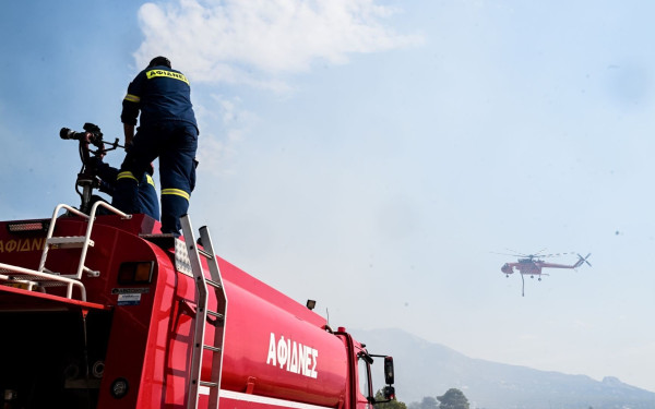 Εκπρόσωποι βιομηχάνων: «Οι σημαντικότερες επιπτώσεις των πυρκαγιών στον Έβρο είναι οι έμμεσες» 