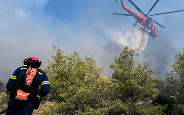 Φωτιά στην Τριανταφυλλιά Σερρών - Ήχησε το 112