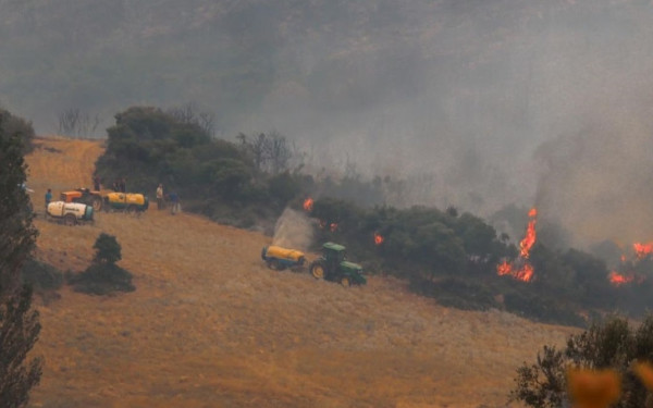 Χαλκιδική : Καλύτερη η κατάσταση στο πύρινο μέτωπο του Πολυγύρου - Δείτε φωτογραφίες