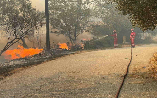 Αλεξανδρούπολη: Ενισχύονται οι πυροσβεστικές δυνάμεις στο δάσος Δαδιάς	