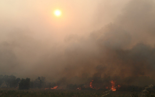 Νέα εκκένωση στη Ροδόπη 