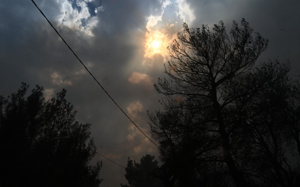 Κυβερνητική σύσκεψη για την αποκατάσταση των δασών σε Έβρο και Πάρνηθα