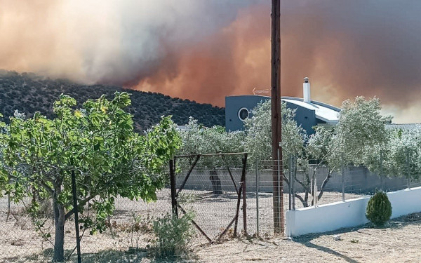 Μεγάλη αναζωπύρωση στη Βοιωτία - Απεγκλωβίστηκαν πατέρας και γιος (βίντεο)