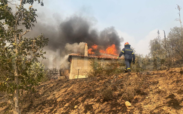 Εβρος: Νέα αναζωπύρωση στον Άβαντα - Σπίτια παραδόθηκαν στις φλόγες (βίντεο)
