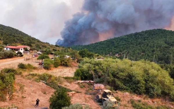 Βελτιωμένη η εικόνα των πύρινων μετώπων σε Έβρο και Ροδόπη