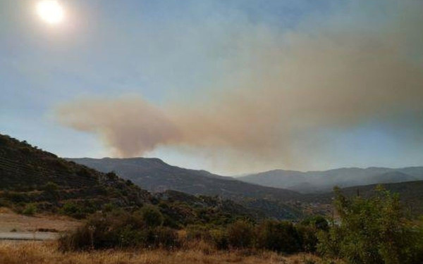 Φωτιά κοντά στο Βατοπέδι στην Ορμύλια Χαλκιδικής - Καθ' οδόν πυροσβεστικές δυνάμεις