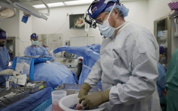 Ελληνικός Οργανισμός Μεταμοσχεύσεων: Αναληθές το δημοσίευμα μεταμόσχευσης οργάνου προερχόμενου από εμπορία