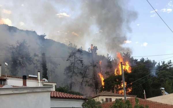 Ροδόπη: Βίντεο από drone πάνω από τις καμένες εκτάσεις στο Σώστη