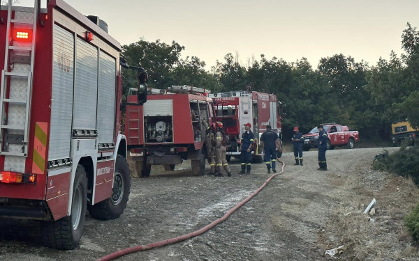 Υπό μερικό έλεγχο οι πυρκαγιές σε Αρδεία Ροδόπης, Βαμβακόφυτο Σερρών και Αγία Τριάδα Θεσσαλονίκης