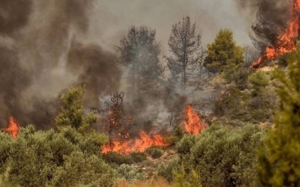 Απτόητη καίει η πυρκαγιά σε 6 περιοχές στον Έβρο - Μάχονται οι πυροσβέστες