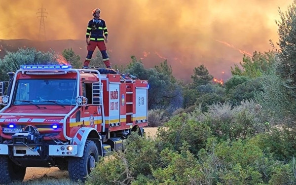 Διαδικτυακή συζήτηση με θέμα «Πυρκαγιές και δασοπυρόσβεση -Πώς και από ποιόν;»