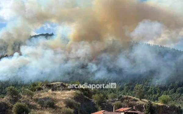 Τρίπολη: Καίγεται το δάσος πάνω από την πόλη – Ενίσχυση πυροσβεστικών δυνάμεων