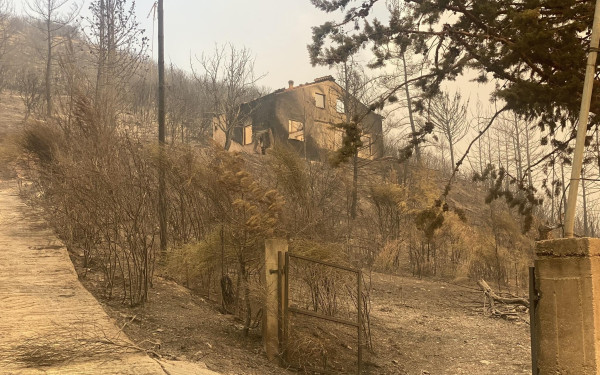 Έβρος: Πρώτη ημέρα χωρίς ενεργό πύρινο μέτωπο - Ανυπολόγιστη η καταστροφή (φωτ.) 