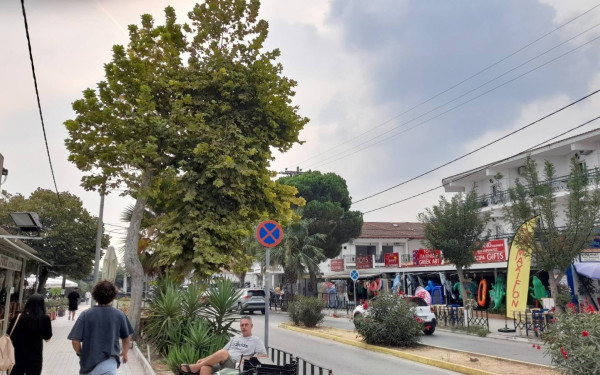 Χαλκιδική: Συναγερμός στο Παλιούρι από τους καπνούς στον... Εβρο - Δείτε φωτογραφίες