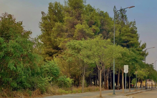 Δράση πολιτών για την σωτηρία του άλσους Φυτωρίου Αλεξανδρούπολης