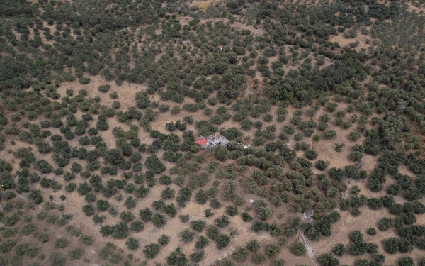 Έβρος: Σώθηκε ο αρχαίος ελαιώνας της Μάκρης - Καταστράφηκε το δάσος της Κίρκης