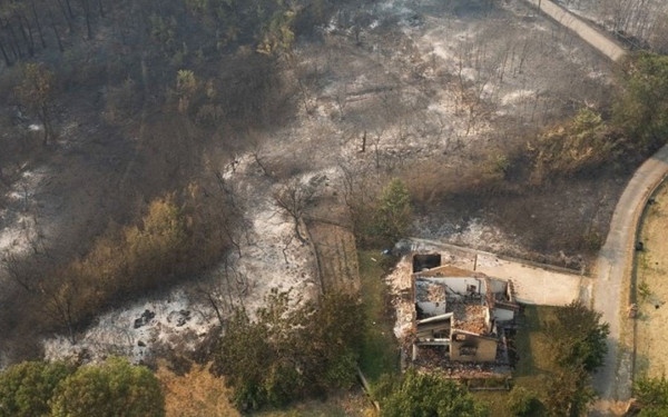 Συνεχείς οι αναζωπυρώσεις στον Έβρο - 12η μέρα ασύλληπτης καταστροφής