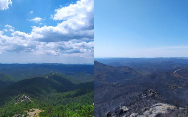 Βομβαρδισμένο τοπίο το δάσος της Δαδιάς: Το πριν και το μετά της καταστροφικής πυρκαγιάς (βίντεο, φωτ.)