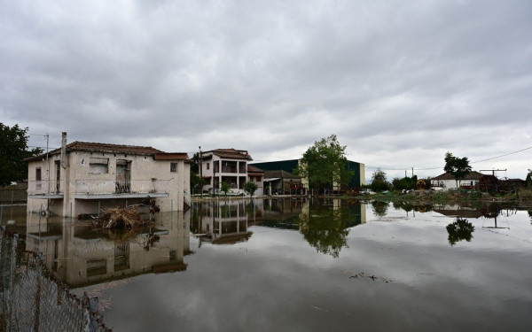 Κακοκαιρία «Daniel»: Ισοπεδωμένη η Θεσσαλία, μετράει πληγές - Κίνδυνος τα νεκρά ζώα και οι λάσπες (βίντεο)