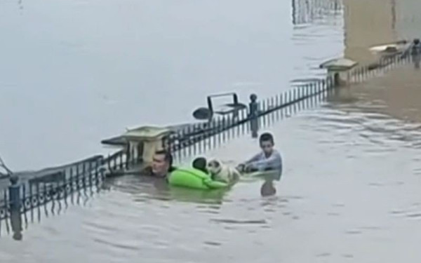 Κακοκαιρία «Daniel»: Ώρες αγωνίας για τους κατοίκους στον Παλαμά Καρδίτσας - Συγκλονιστική διάσωση παιδιών και σκύλου (βίντεο)