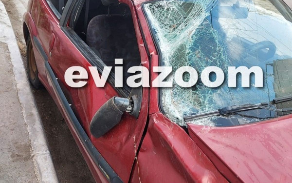 Θανατηφόρο τροχαίο στην Εύβοια: Σκοτώθηκε 21χρονος φοιτητής - Στο νοσοκομείο άλλοι τρεις νέοι