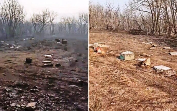 Κατάθεση αιτημάτων για την αποζημίωση των μελισσοκόμων στον Έβρο