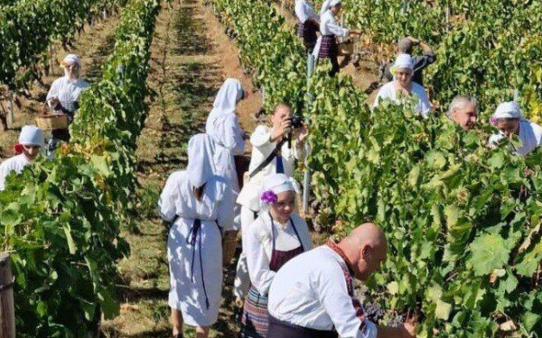 Νάουσα: Ξεκίνησε το Φεστιβάλ Τρύγου