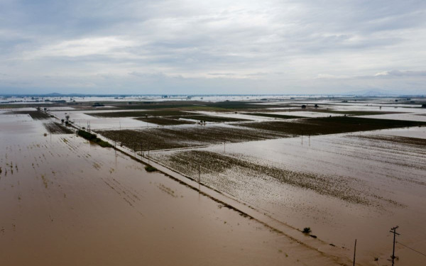 Ανυπολόγιστες οι ζημιές στα προϊόντα από τον θεσσαλικό κάμπο - Φόβοι για νέο σπιράλ ακρίβειας (βίντεο)